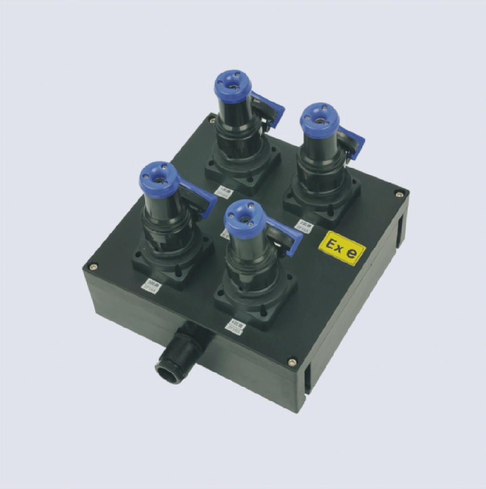 BXX8050-系列防爆防腐检修電(diàn)源插座箱(IIC、 ExtD)